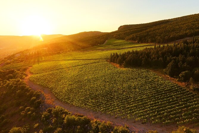 Wine Tasting Grabovac Tour From Makarska - Transportation and Accessibility