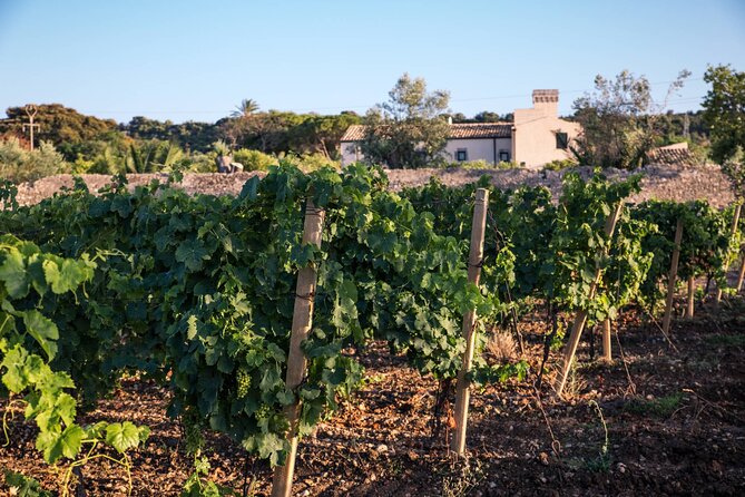 Wine Tasting in a Castle and Historical Garden Near Syracuse - Winery Tour and History