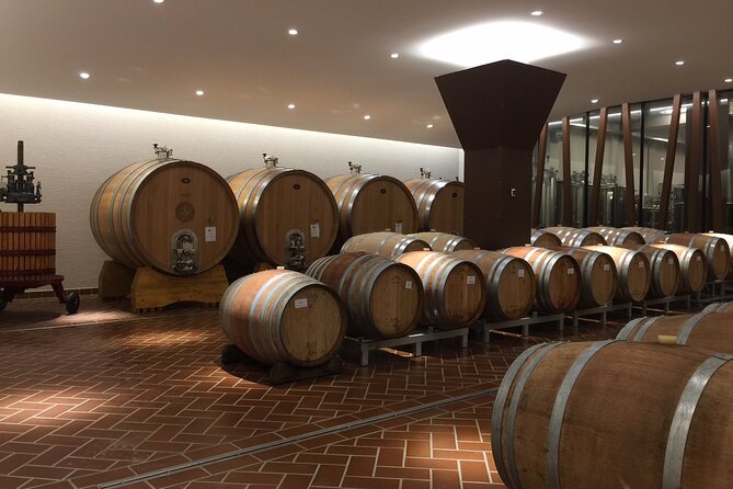 Wine Tasting in Bardolino - Cellar and Tasting Details