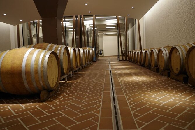 Wine Tasting in Bardolino - Accessibility and Participation