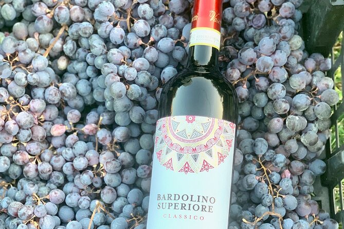 Wine Tasting in Bardolino - Booking and Cancellation Policy