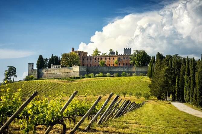 Wine Tasting in Brolio Castle Gardens From Florence by Car - Group Size Limitations