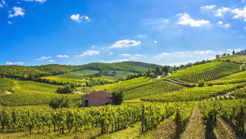 Wine Tasting in Brolio Castle Gardens From Florence by Car - Transportation and Accessibility