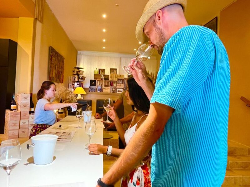 Wine Tasting in Châteauneuf Du Pape - Scenic Views
