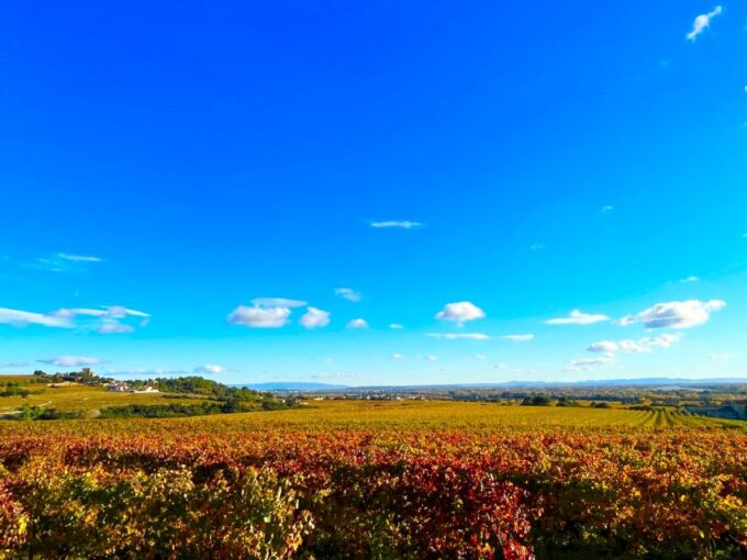 Wine Tasting in Châteauneuf Du Pape - Frequently Asked Questions