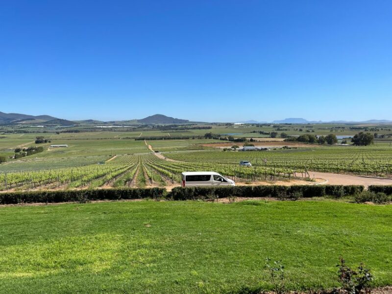 Wine Tasting in Franschhoek, Stellenbosch & Paarl Tour - Wine Tastings and Pairings