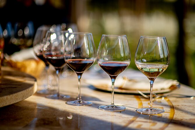 Wine Tasting in Historic Open-Lounge Room - Experience Highlights