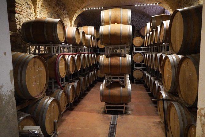 Wine Tasting in Historical Center of Lazise - Accessibility and Logistics