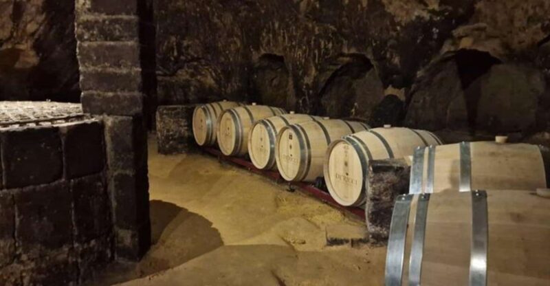 Wine Tasting in Montepulciano and Vineyards Private Tour - Experience Highlights