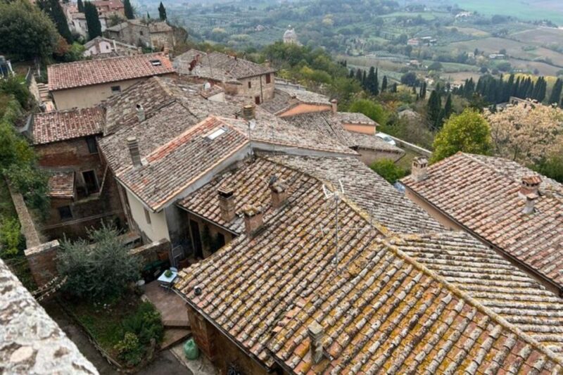 Wine Tasting in Montepulciano and Vineyards Private Tour - Transportation and Services