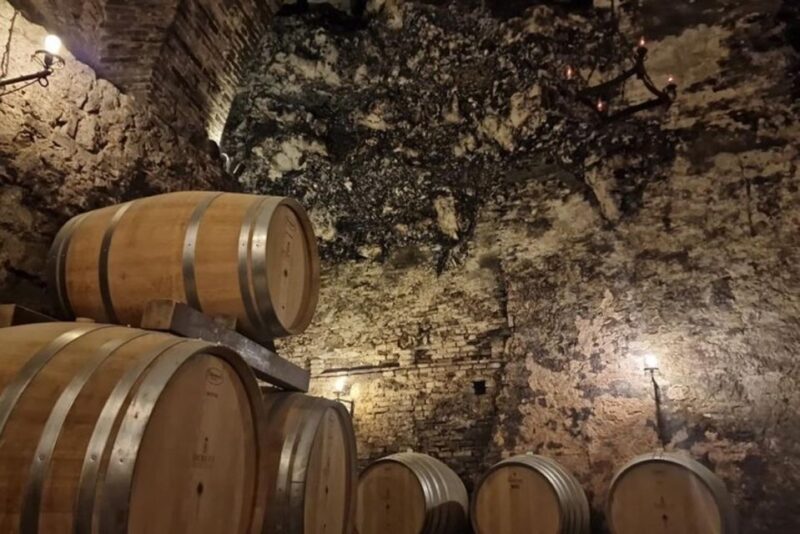 Wine Tasting in Montepulciano and Vineyards Private Tour - Booking and Payment
