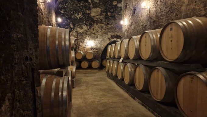 Wine Tasting in Montepulciano Tuscany Private Tour From Rome - Booking and Cancellation