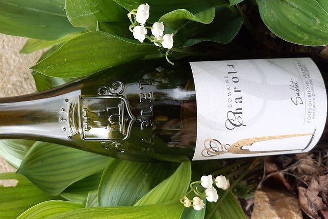Wine Tasting in Sablet - Booking and Cancellation Policy