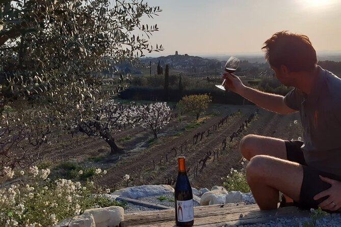 Wine Tasting in Sablet - Passionate Winemakers and Discussions