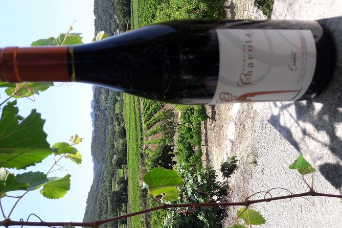 Wine Tasting in Sablet - Flexible Tour Duration Options