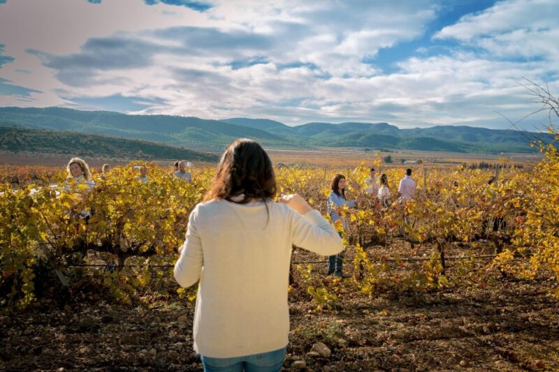 Wine Tasting in the Best Winery in Spain From Alicante - Inclusions and Highlights