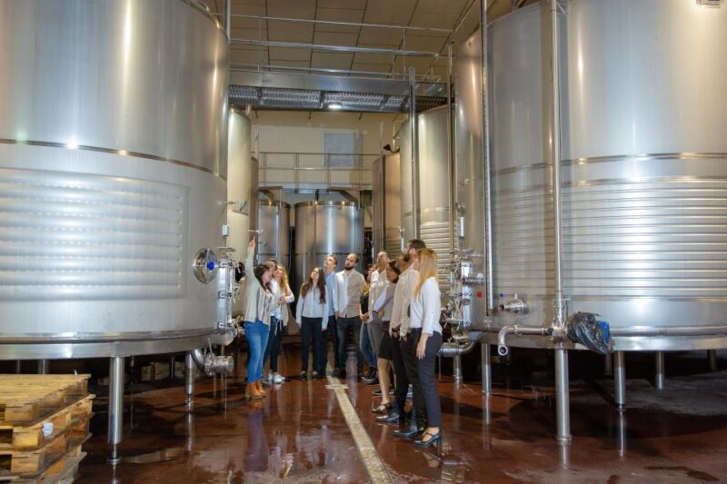Wine Tasting in the Best Winery in Spain From Alicante - Niche Society and Storage