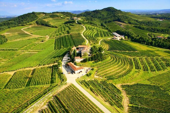 Wine Tasting in the Collio Wine Area, Guided Tour of Cividale. - Highlights of the Guided Tour