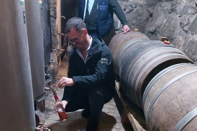 Wine Tasting in the Countryside From Budapest - Key Points