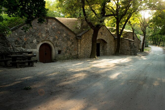 Wine Tasting in the Countryside From Budapest - Tasting Menu and Local Specialties