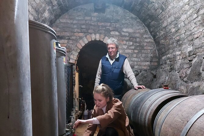 Wine Tasting in the Countryside From Budapest - Scenic Drive to Paty Village