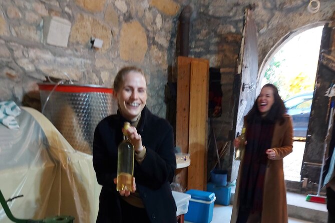 Wine Tasting in the Countryside From Budapest - Traveler Feedback and Highlights