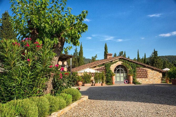 Wine Tasting in the Historical Cantalici Winery - Tour Details