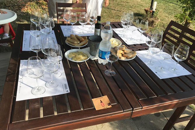 Wine Tasting in the Lucca Countryside With Sommelier - Sampling the Local Flavors