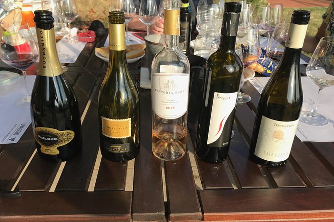 Wine Tasting in the Lucca Countryside With Sommelier - Exploring the Lucca Countryside