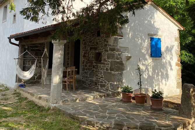 Wine Tasting in the Oldest Dated Cellar From 1683 in Vipava - Tasting Vipavas Finest Vintages