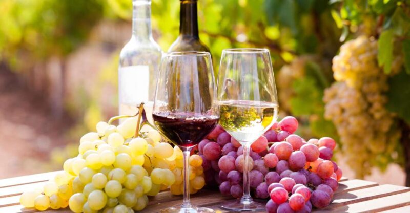 Wine Tasting in the Vesuvius National Park - Itinerary Details