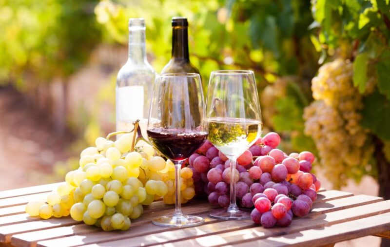 Wine Tasting in the Vesuvius National Park - Wine and Food Experience