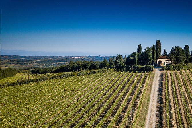 Wine Tasting in Tuscany - Aperitif and Starters