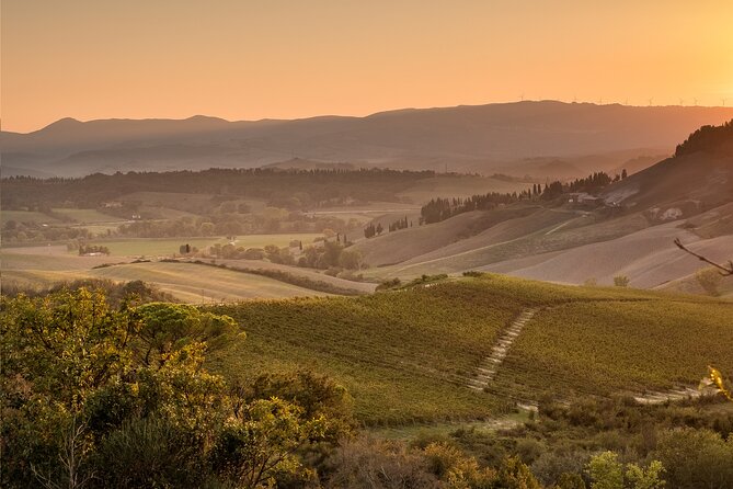 Wine Tasting in Tuscany - Accessibility and Participation Guidelines