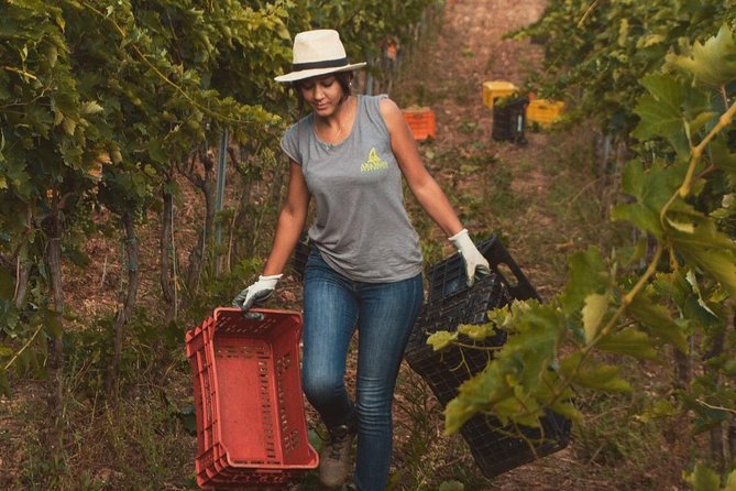 Wine Tasting in Vieste - Meet Winemaker Cinzia