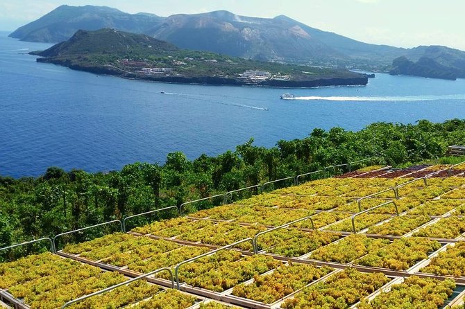 Wine Tasting in Vineyard at the Sunset in Lipari Island - Tasting Details