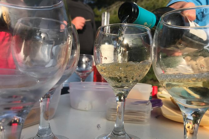 Wine Tasting Kayak Sunset Trip - Participant Requirements