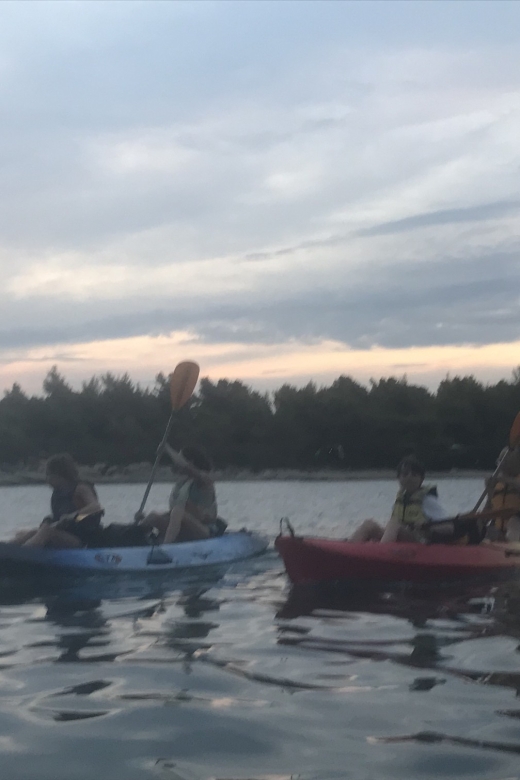Wine Tasting Kayak Sunset Trip - Key Points
