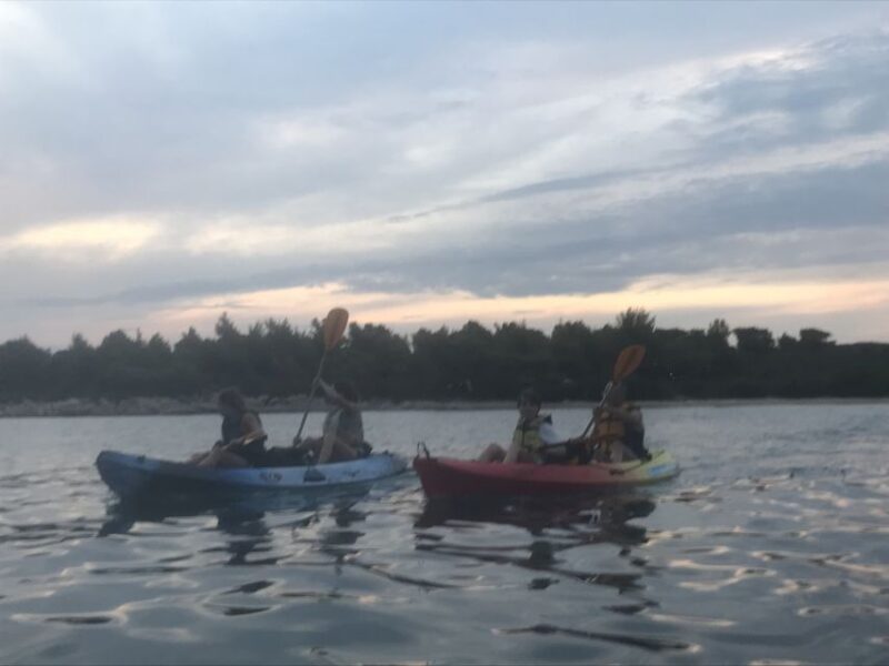 Wine Tasting Kayak Sunset Trip - Itinerary Details