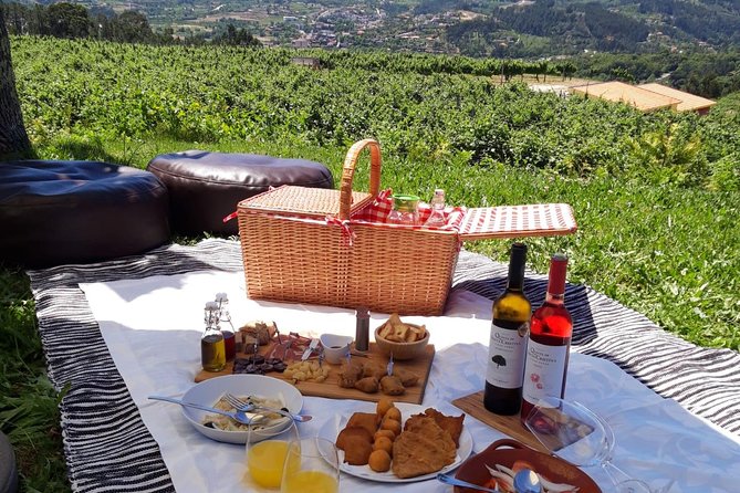 Wine Tasting & Lunch at Quinta De Santa Cristina Vinho Verde - Picnic Lunch and Regional Fare