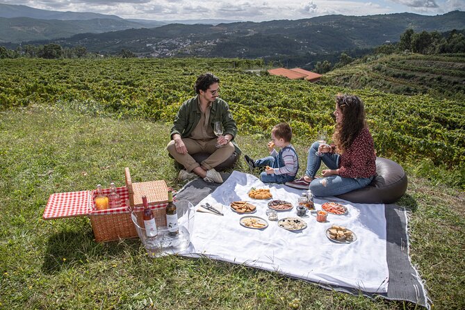 Wine Tasting & Lunch From Porto Quinta De Santa Cristina - Wine Tasting Experience