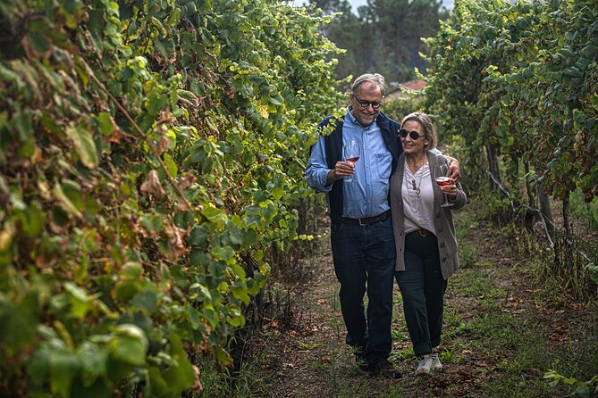 Wine Tasting & Lunch From Porto Quinta De Santa Cristina - Scenic Drive From Porto