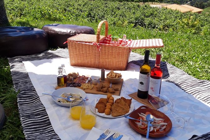 Wine Tasting & Lunch From Porto Quinta De Santa Cristina - Traveler Photos and Experiences