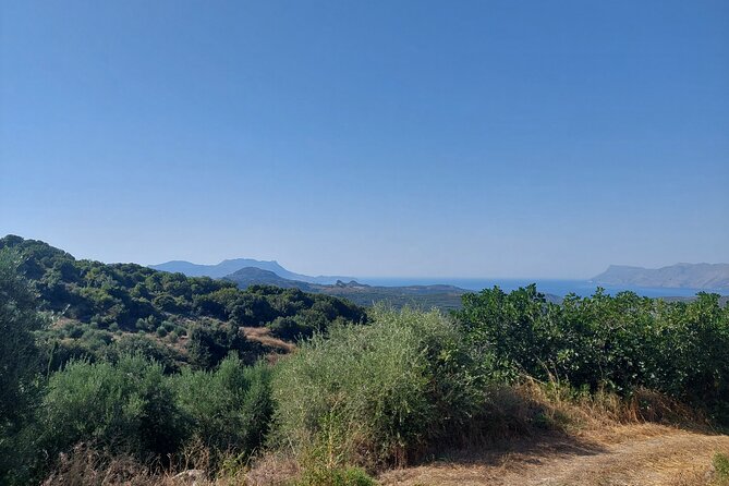 Wine Tasting: Meet the Cretan Vineyard at West Chania - Accessibility and Participation