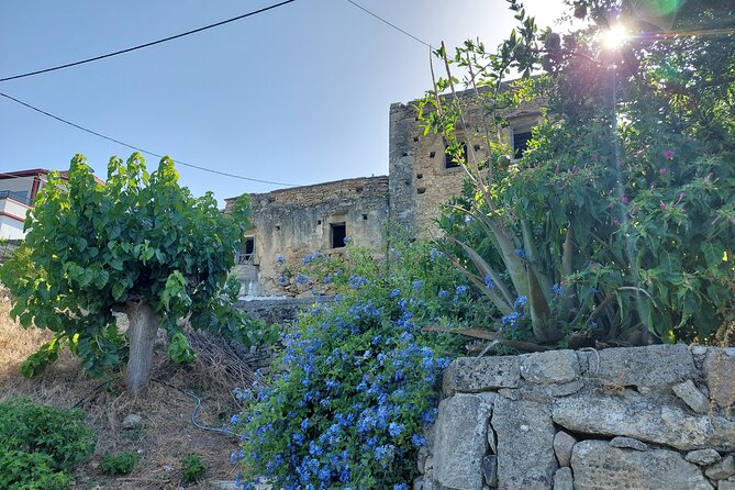 Wine Tasting: Meet the Cretan Vineyard at West Chania - About the Vineyard