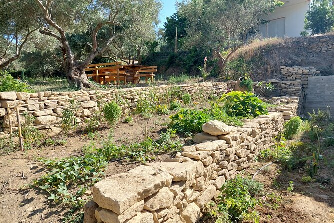 Wine Tasting: Meet the Cretan Vineyard at West Chania - Visitor Testimonials