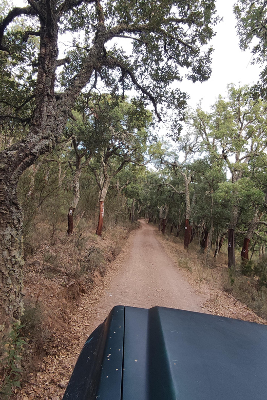 Wine Tasting Off-Road Tour - Inclusions