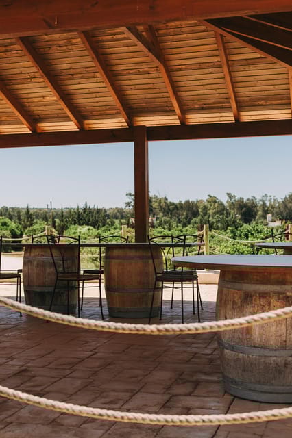 Wine Tasting Off-Road Tour - Exploring Algarve