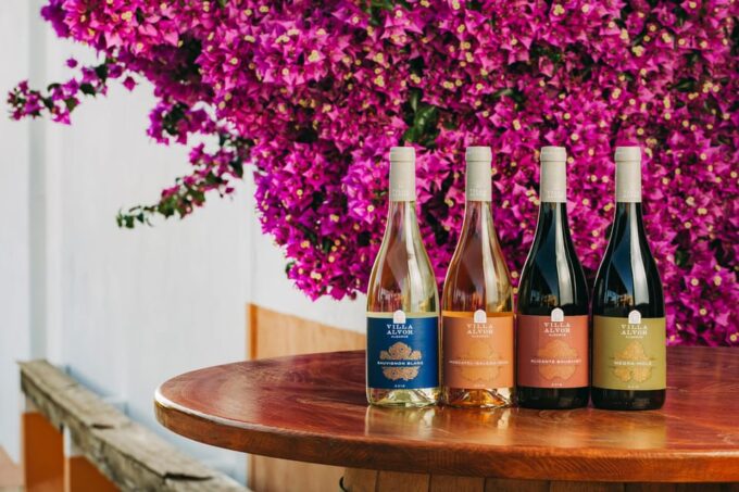 Wine Tasting Off-Road Tour - Recap