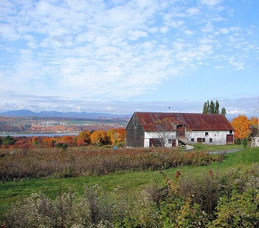 Wine Tasting on Île D'orléans - Key Points